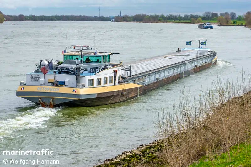 Octopussy — thumbnail 2